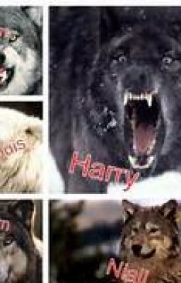 One Direction, Werewolves, Vampires, Oh My!