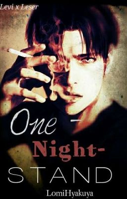 One Night Stand (Levi x Reader)