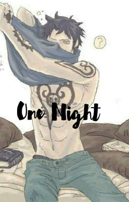 .One Night. [[ Trafalgar Law X Reader ]]