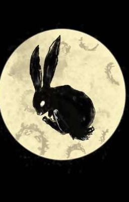 One night with rabbit