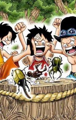 [ ONE PIECE ] BA ANH EM ĐIÊN RỒ