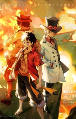 One Piece Đồng Nhân