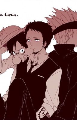 [One Piece Fanfic] Những mẩu chuyện nhỏ