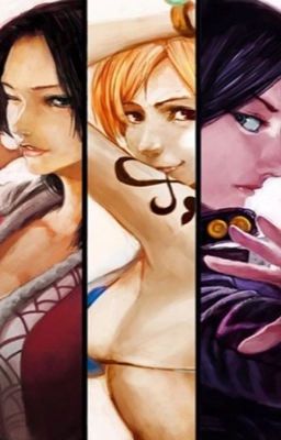 One Piece Females x Reader 