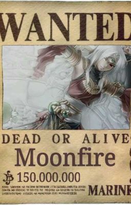 One Piece - Moonfire