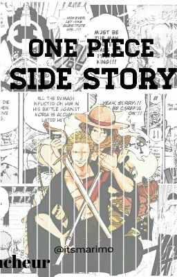 One Piece Side Stories [ON HOLD]