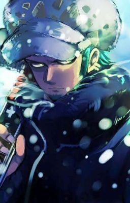 One Piece ~Trafalgar Law x Reader ~