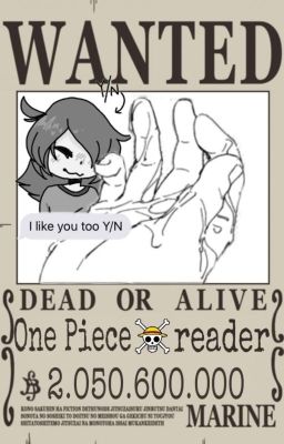 One piece X reader 