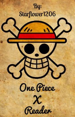 One Piece X Reader One Shots (Slow update posts!!!)