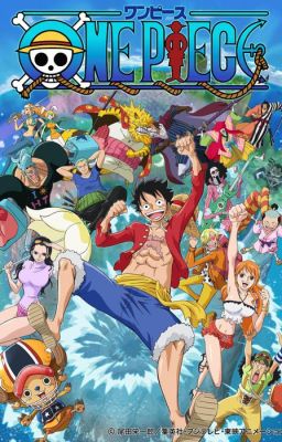 One Piece x Reader Oneshots