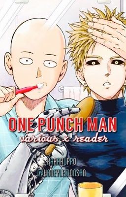 「One Punch Man 」various x reader