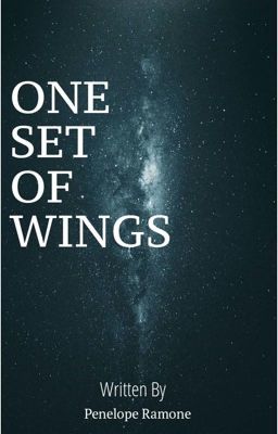 One Set Of Wings