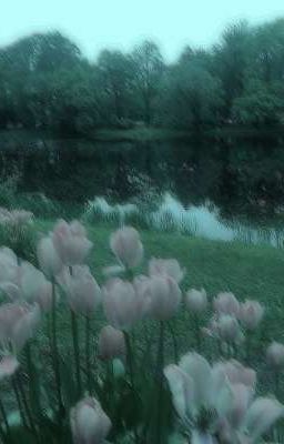 °#One Short Otp | #Viết Otp Theo Yêu Cầu | #Allotp °