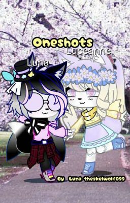One shot book