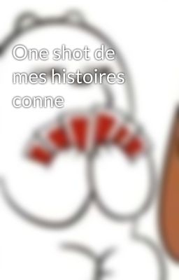 One shot de mes histoires conne 