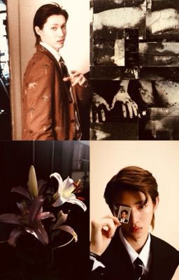 | one shot marhoon | a soft return 