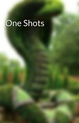 One Shots