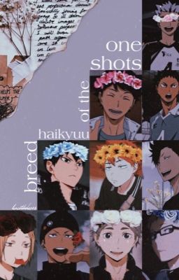 one shots of the haikyuu breed {on-going}