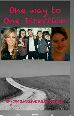 One Way To One Direction (a German One Direction FF)