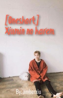 [Oneshort] Xiumin no harem