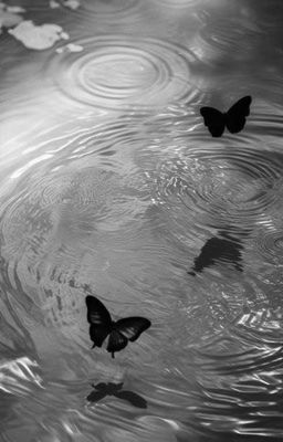 |oneshot| butterfly