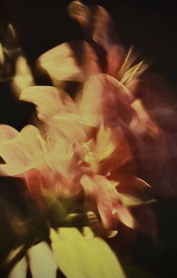 [Oneshot Collection] Tan