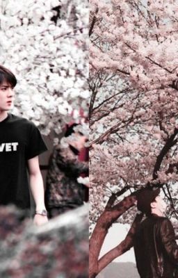 [OneShot Dammie] CHANHUN | TAN |. 