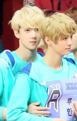 [Oneshot HunHan]Anh đến bắt em về!