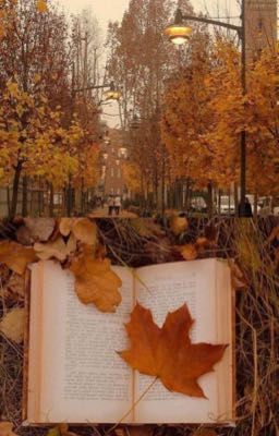 [Oneshot -  Kkamdol] Mình lại cùng nhau nhặt những chiếc lá vàng anh nhé 🍁 