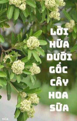 [Oneshot] Lời Hứa Dưới Gốc Cây Hoa Sữa