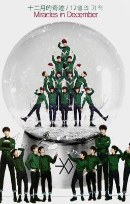 [ONESHOT] MIRACLES IN DECEMBER