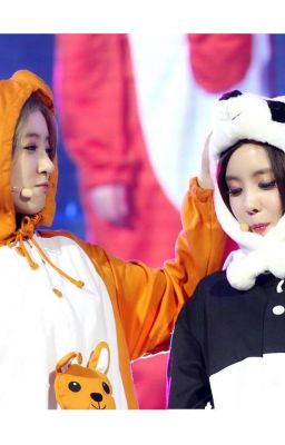 [Oneshot] My Panda - Eunmin