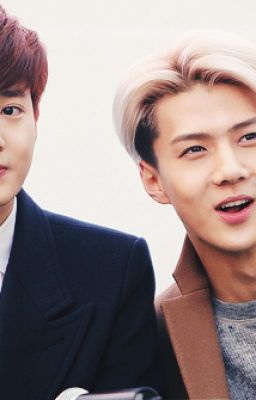 [Oneshot|SeHo] WE GOT MARRIED