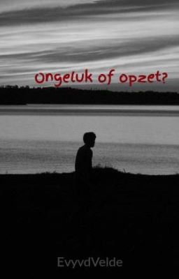 Ongeluk of opzet?