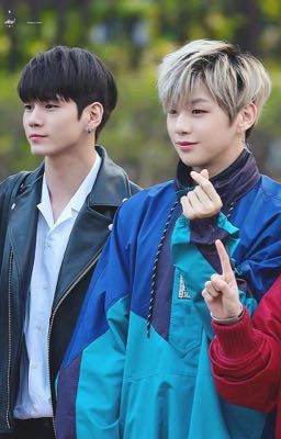 [OngNiel] Samoyed và Mèo nhỏ ❤️