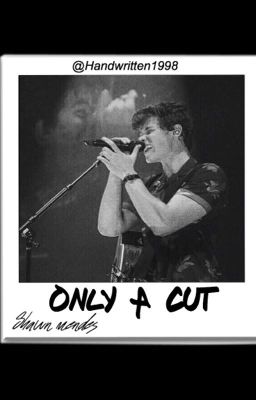 only a cut - shawn mendes 