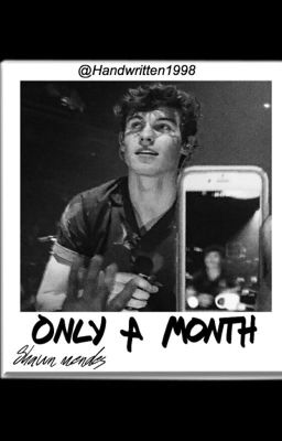 only a month - shawn mendes 