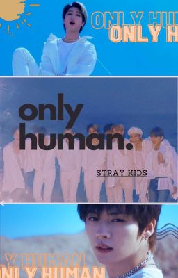 only human // skz