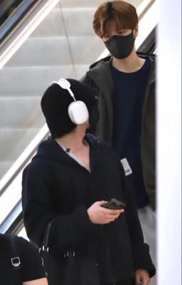 Only love || Seungin • skz ||