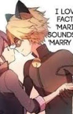 Only Time Will Tell / Marichat Fanfiction