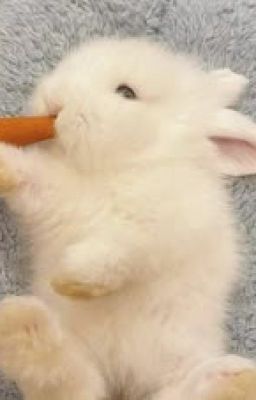 Onran | Bị bạn trai cắm sừng thì nên làm gì?