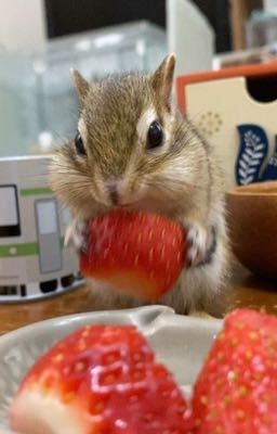 [ onran ] : enticement 