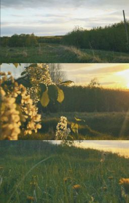 [onran] every summertime