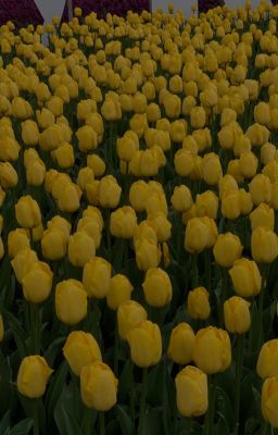 [ONRAN] Kẻ Đơn Phương