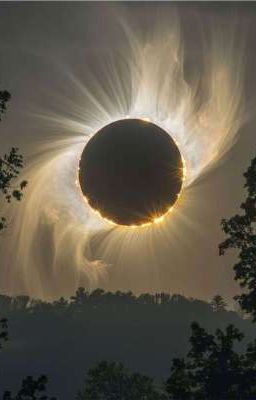 [OnRan] Under the moonlight