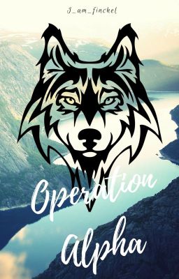 Operation Alpha (A group roleplay)