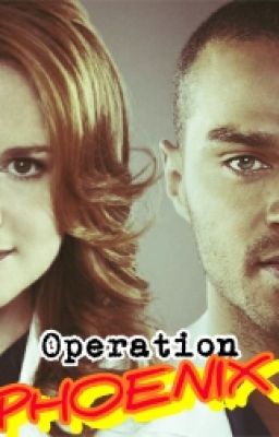 Operation Phoenix (Grey's Anatomy Japril Fanfic)