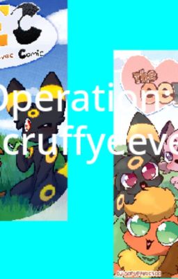 Operation: Scruffyeevee