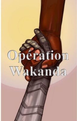 Opération Wakanda