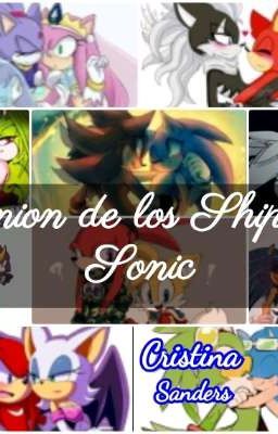 Opinión de los Ships de Sonic 